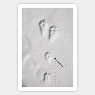 Footsteps on the sand Sticker